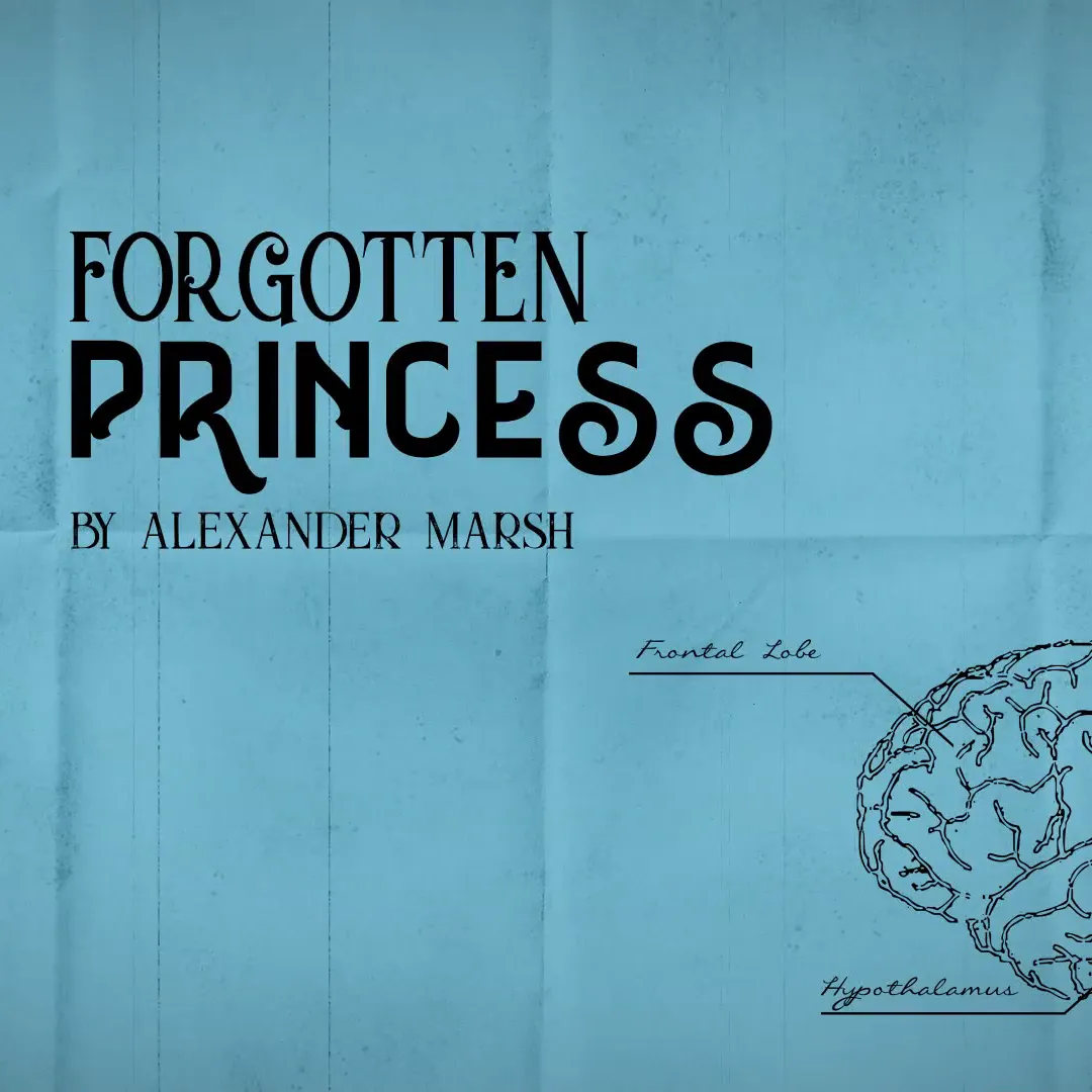 Forgotten Princess by Alexander Marsh