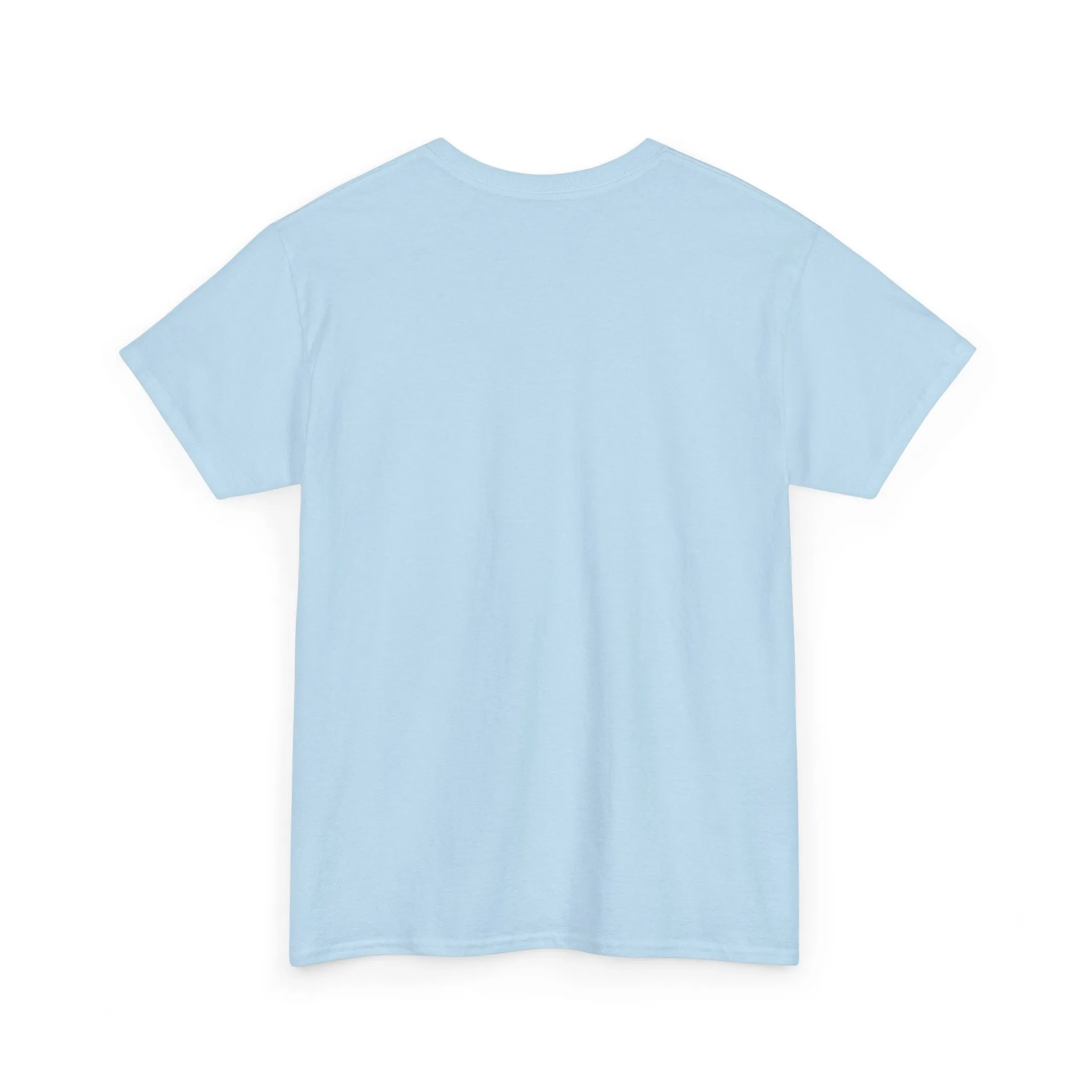Plymouth River Eels Massachusetts Baseball T-shirt