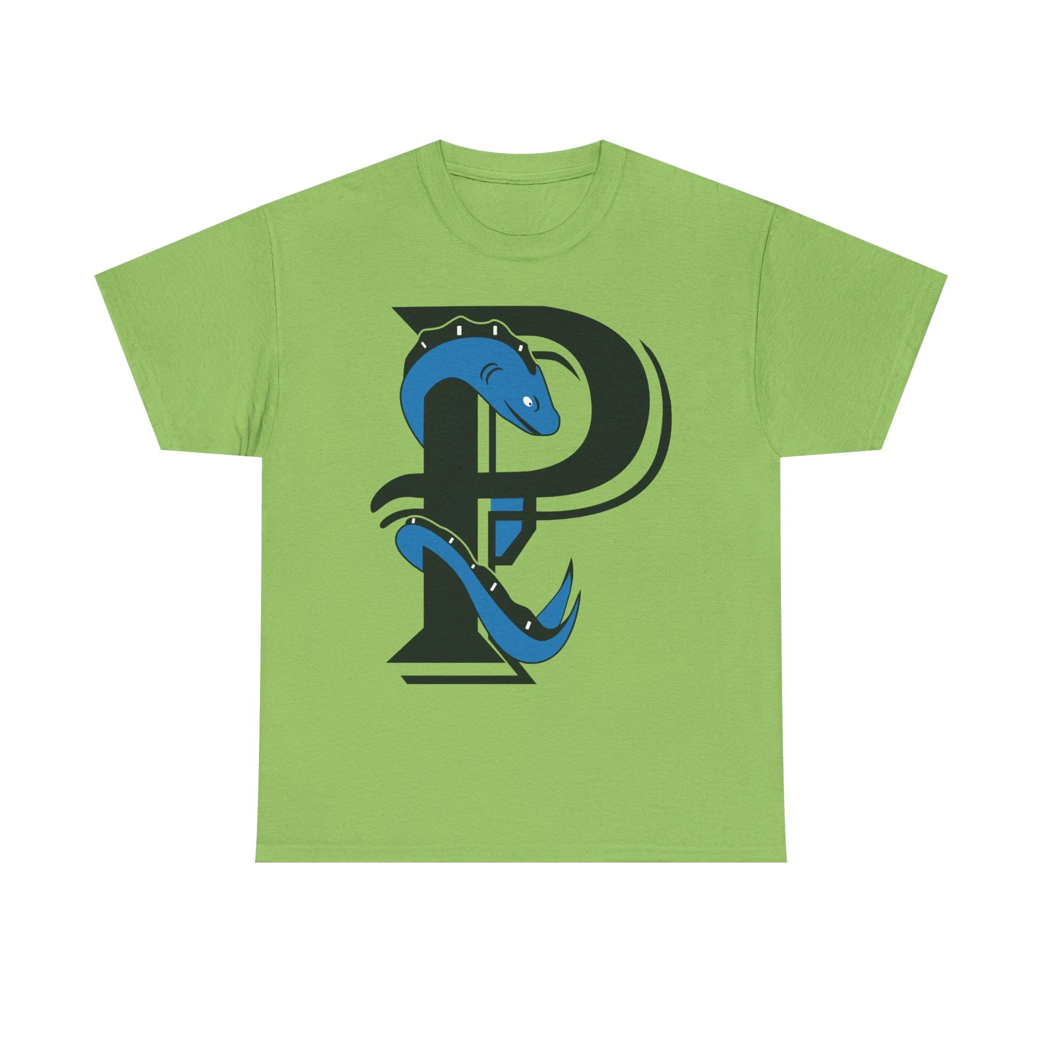 Plymouth River Eels Massachusetts Baseball T-shirt