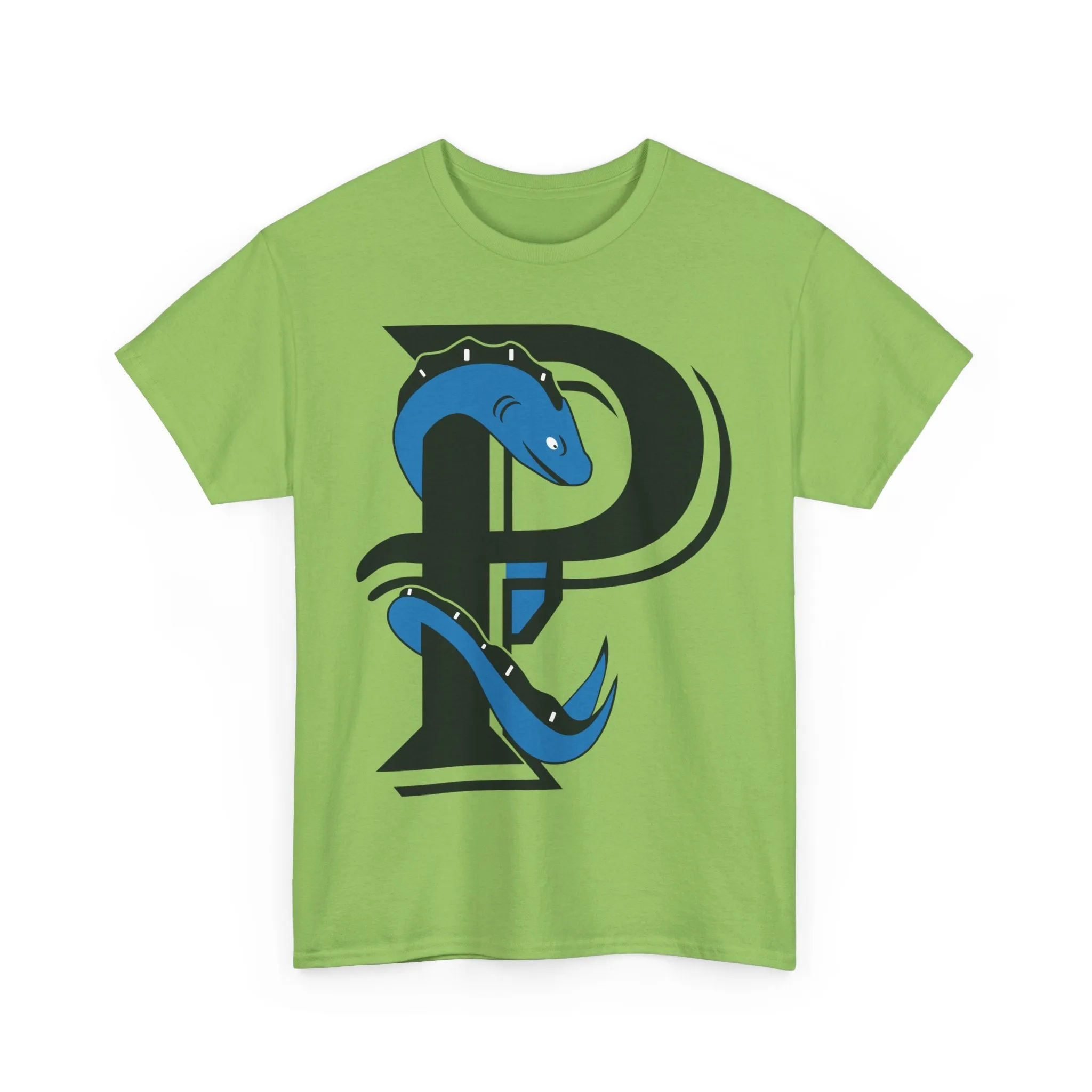 Plymouth River Eels Massachusetts Baseball T-shirt