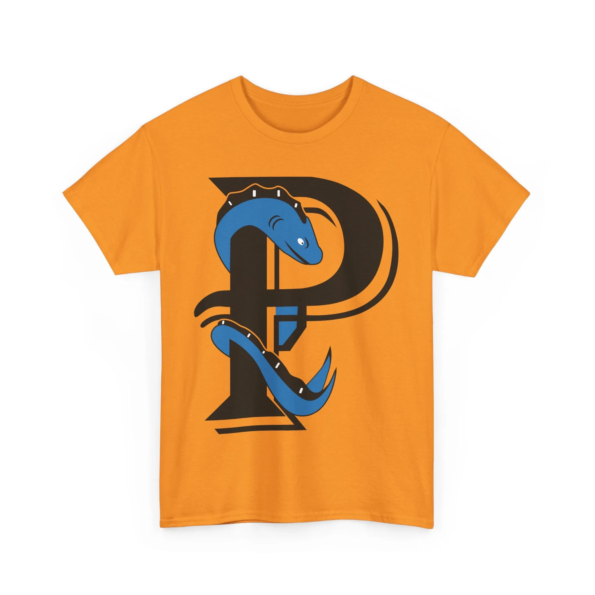 Plymouth River Eels Massachusetts Baseball T-shirt
