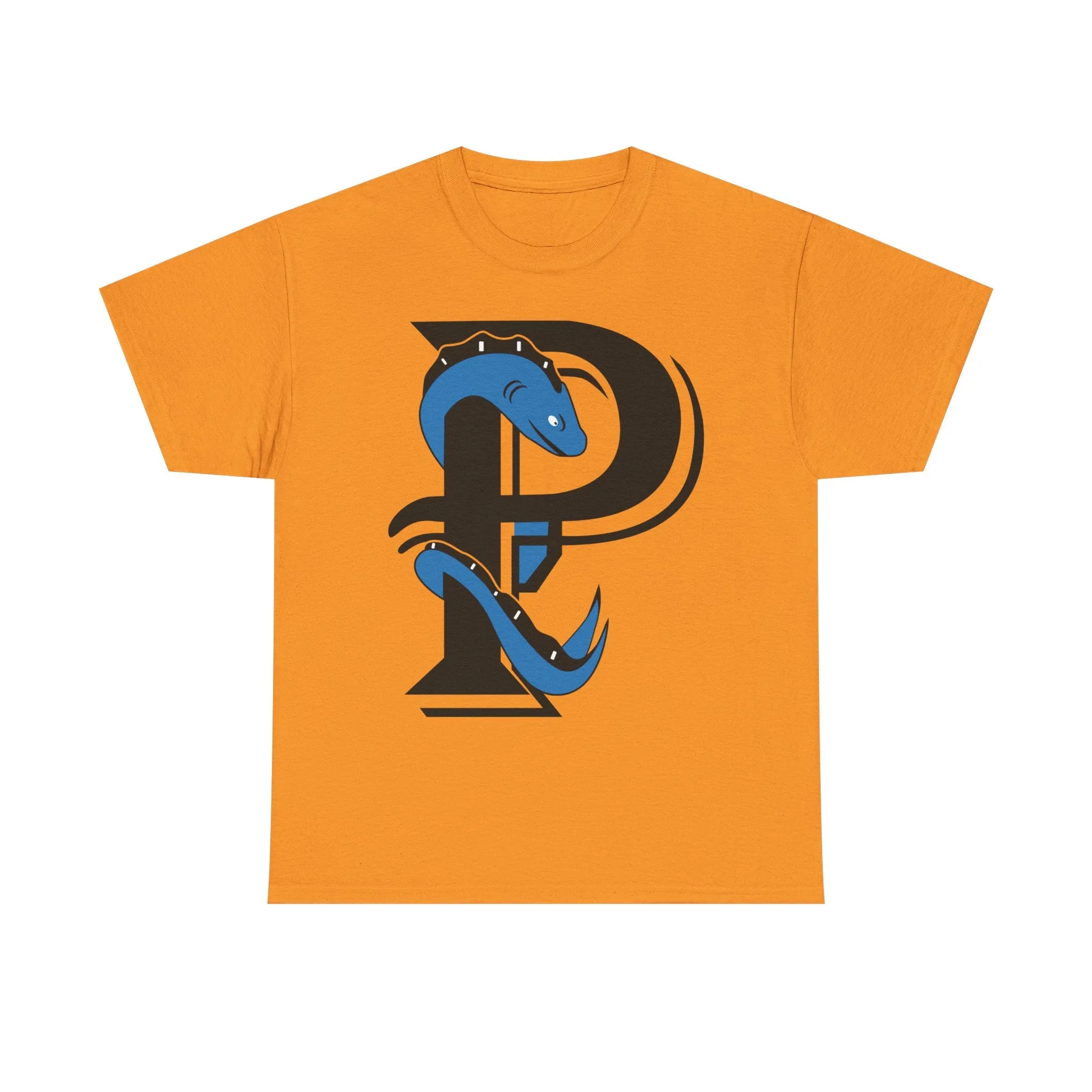 Plymouth River Eels Massachusetts Baseball T-shirt
