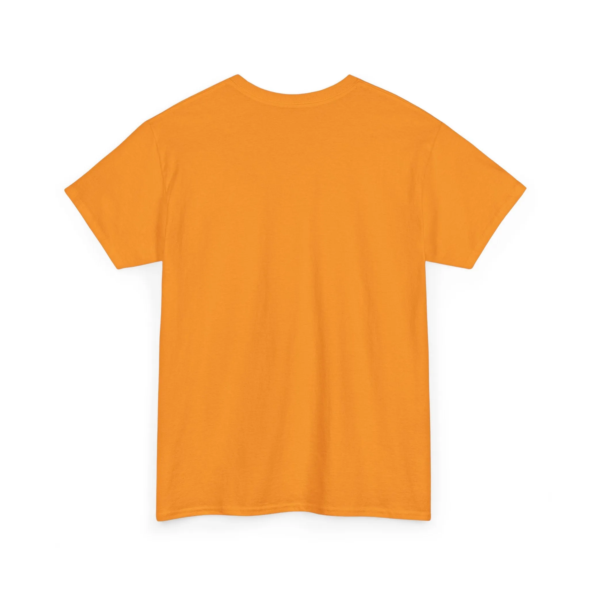 Team Hawaii North American Soccer 1977 T-shirt